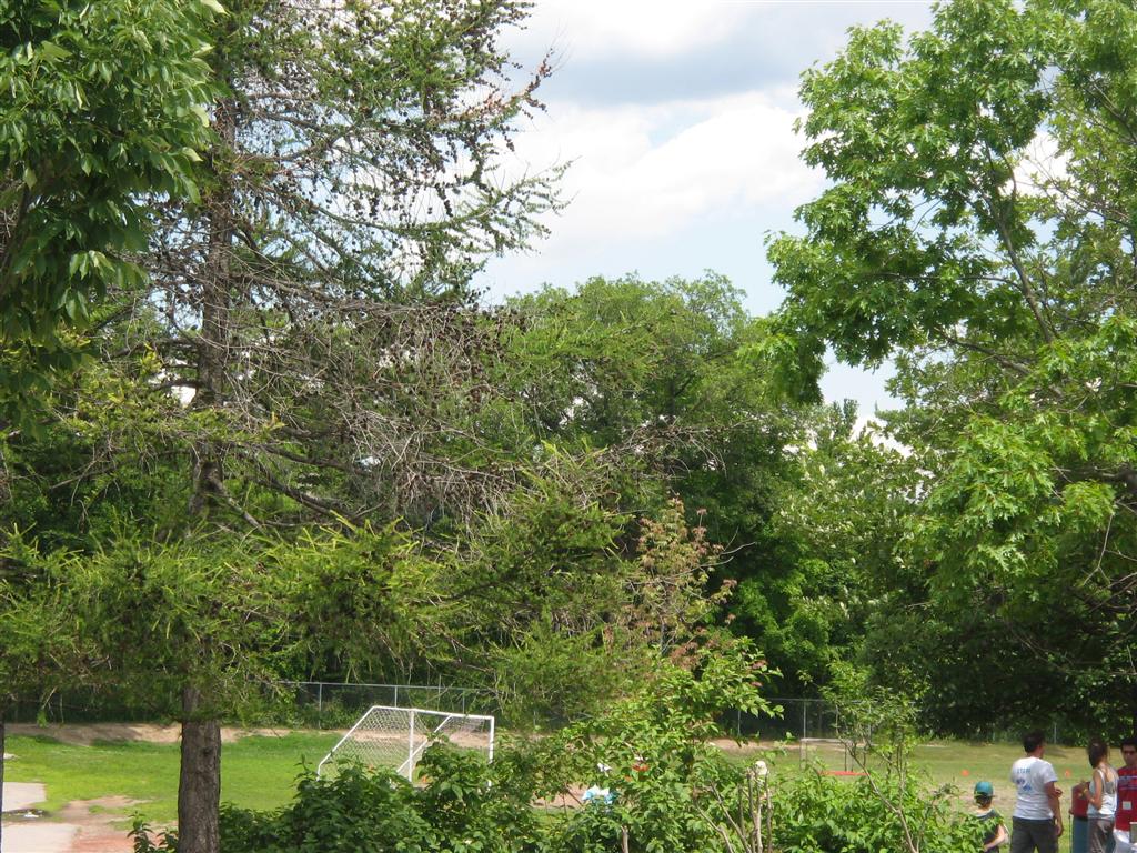 TFS - Canada's International School